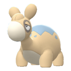 #322 Numel